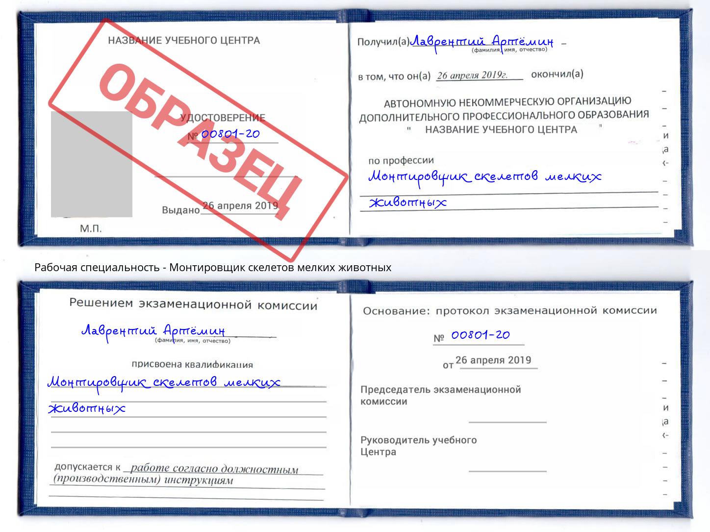 Монтировщик скелетов мелких животных Конаково