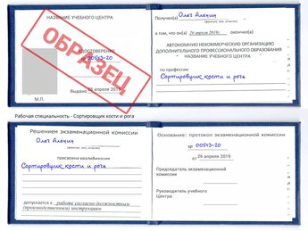 Обучение Сортировщик кости и рога