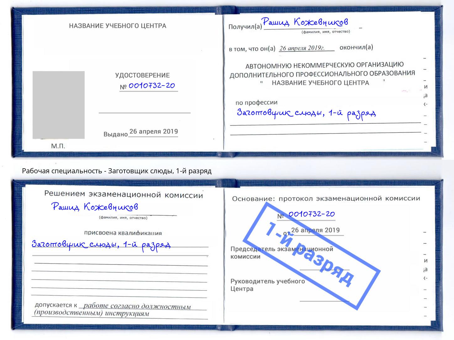 корочка 1-й разряд Заготовщик слюды Конаково